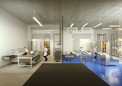 Ct Foodnex (D25), Factory #465026411